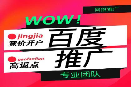 解析SEM代运营托管公司在市场竞争中的角色
